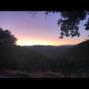 Meet your Posher, Fiona